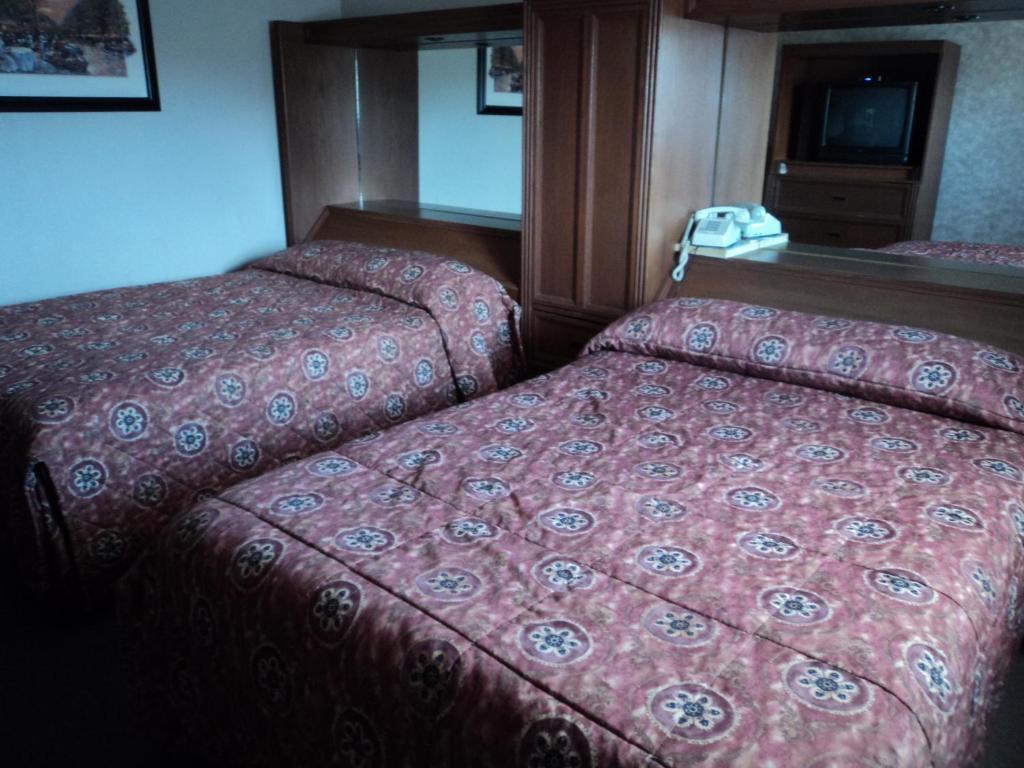 Hotel Monaco Ciudad Juarez Bagian luar foto